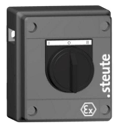 Ex Radio Command Ex RF BF 80 1 WS IP66 II 2G Ex ib IIC T6 (Energy gen.)